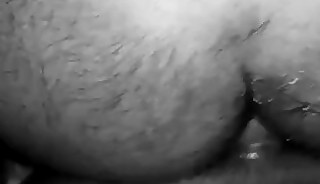 Massive sri lankan cock