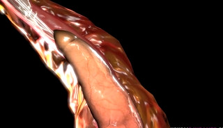 Compilation of 3d hentai guys fucking