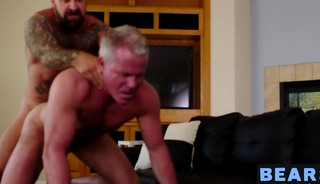 Inked bear treats older homo asshole with rough bareback